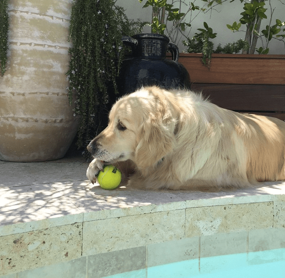 Screen Shot 2015-11-09 at 11.29.53 AM